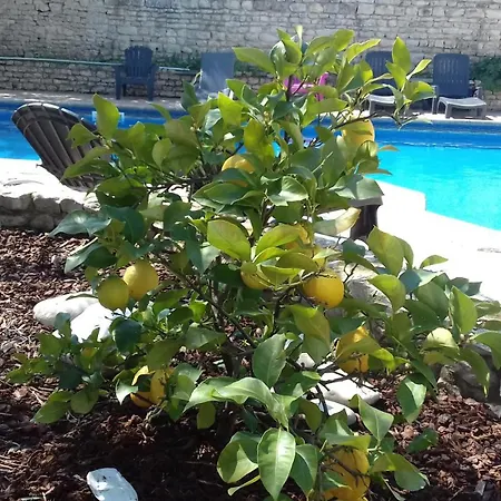 Del Re 2 Face A La Piscine 公寓 *